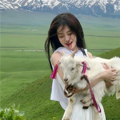 明星大侦探第五季